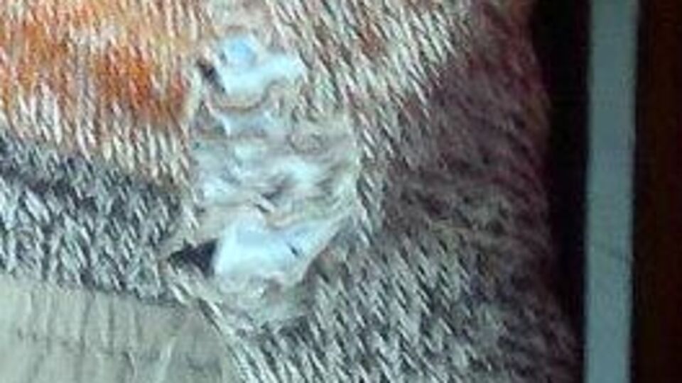 İşte serbest kıyafet