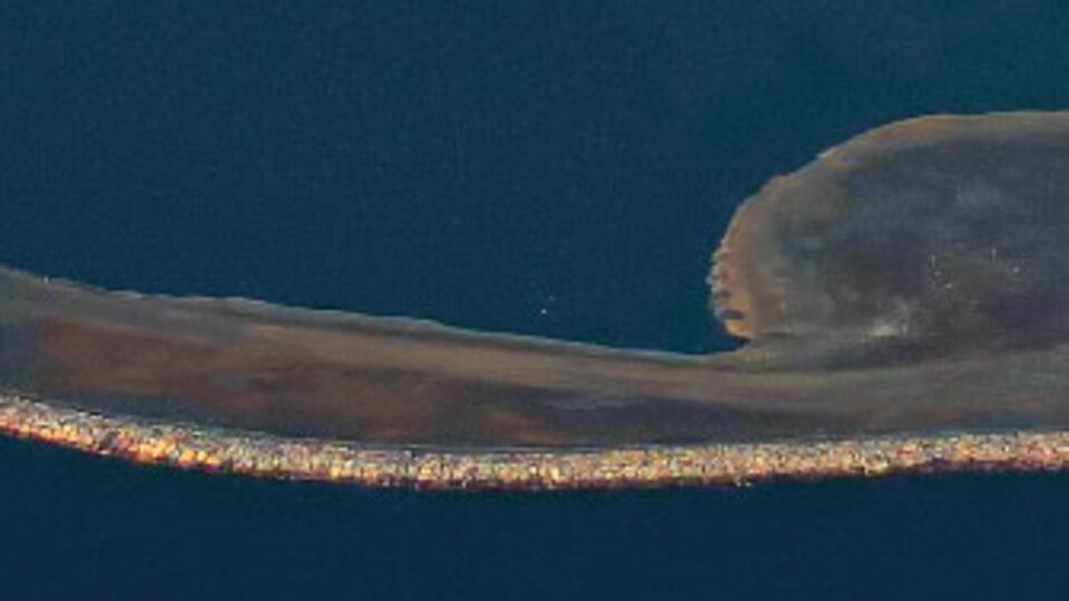 Dev proje böyle görüntülendi