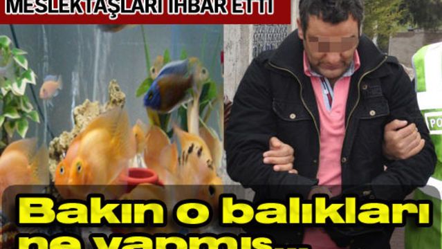 Meslektaşları ihbar etti