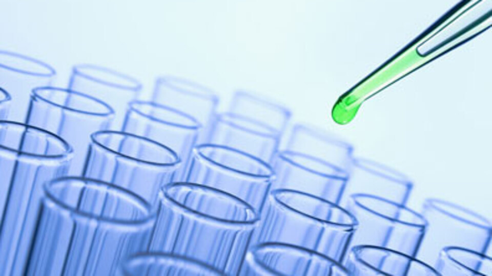 Bilim dünyası Türk doktoru konuşuyor