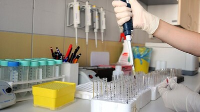 Tümöre karşı etkili mantar!