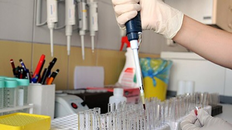 Tümöre karşı etkili mantar!