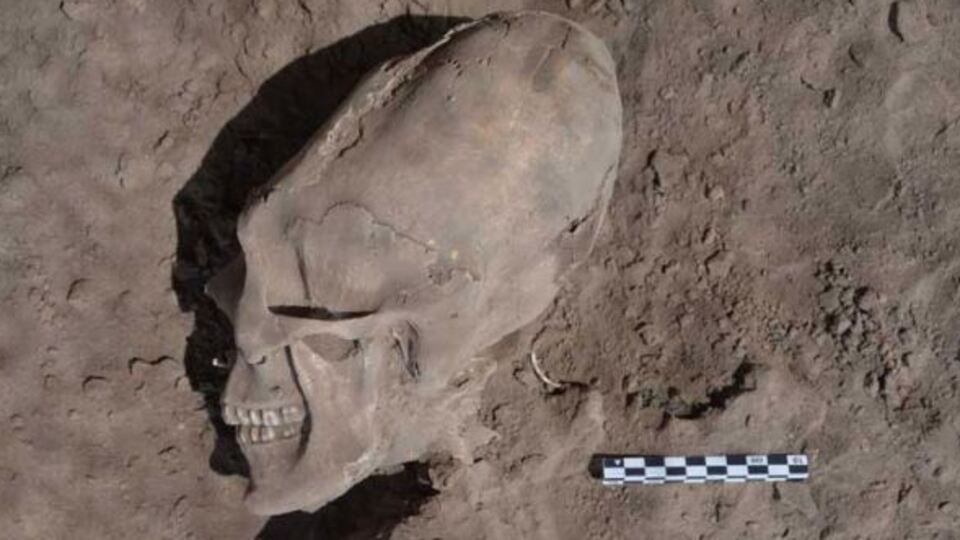 İnanılmaz kafatası!