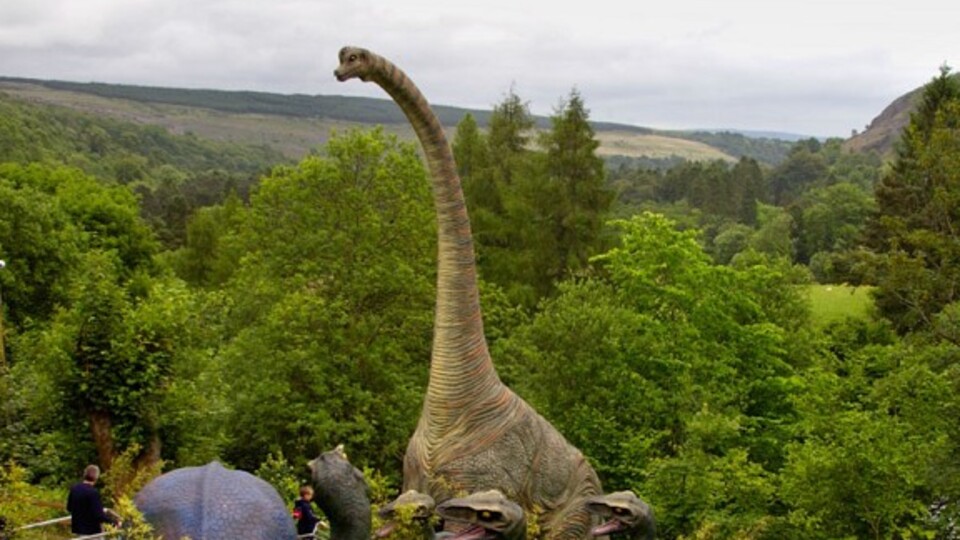 En büyük dinazorun diş fosili bulundu!