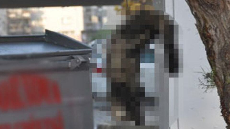 İzmir'de korkunç manzara!