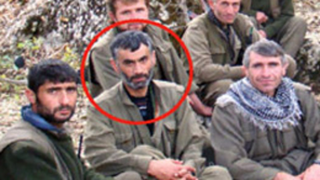 O cani de öldürüldü