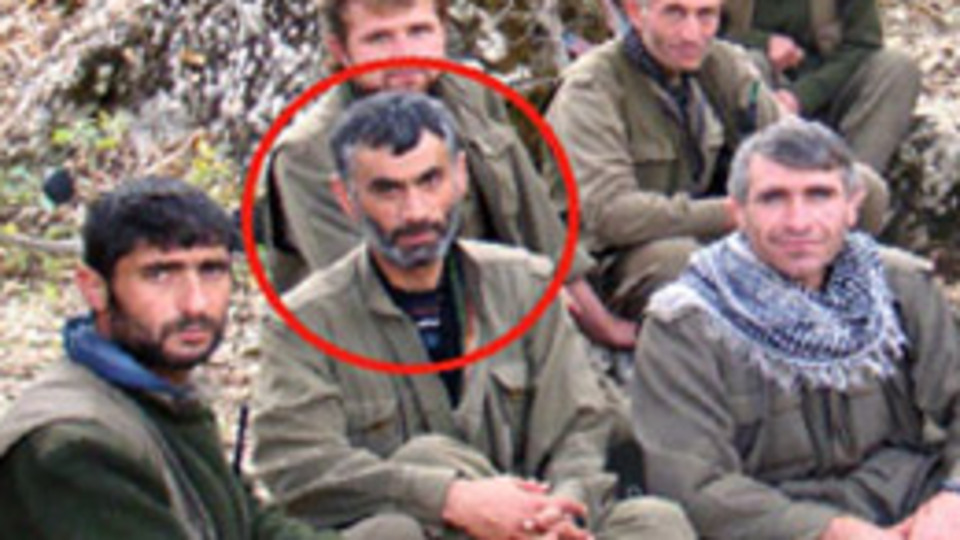 O cani de öldürüldü