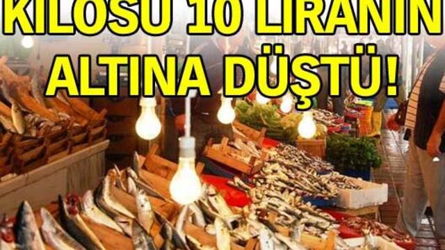 Kilosu 10 liranın altına düştü!