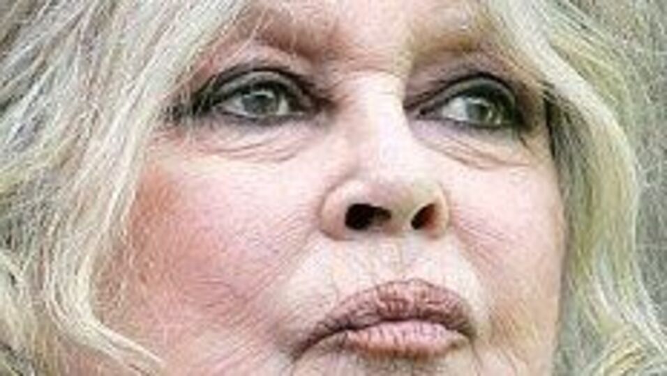 Brigitte Bardot da Rusya yolcusu!