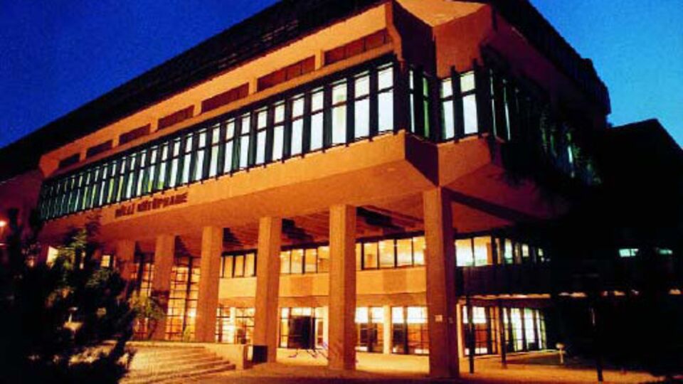 Şok baskın