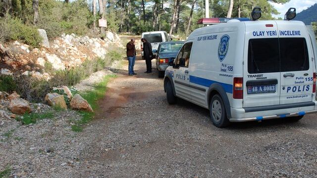 Mandalina bahçesinde hırsız avı