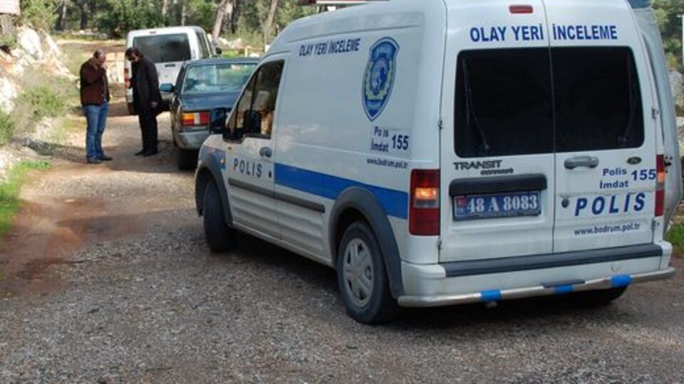 Mandalina bahçesinde hırsız avı