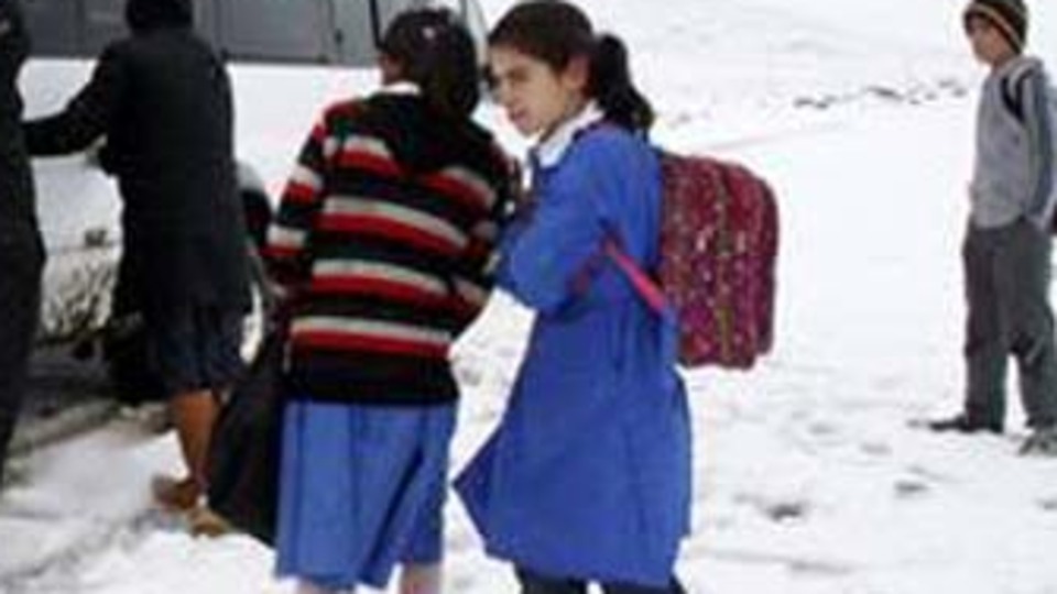 1 fotoğraf karesi yetti!