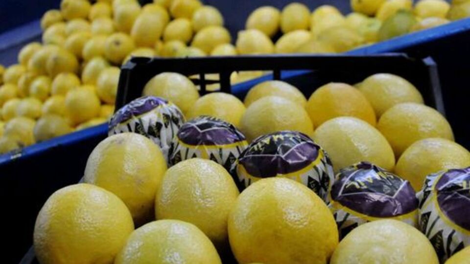 Soğuk algınlığına limonlu önlem