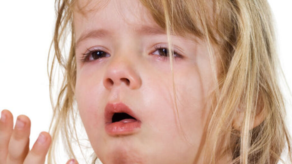 Yalancı kuşpalazı olabilir