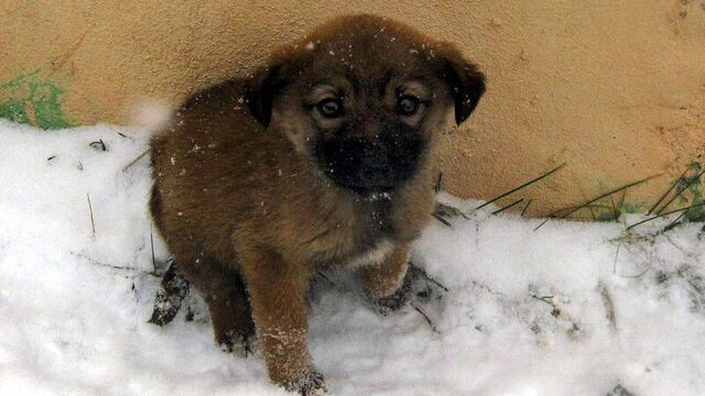 "Bir Takı Bir Can" dostlarımıza