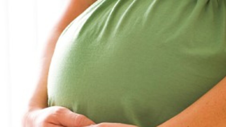 Türklerin sayısı giderek artıyor