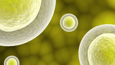 Kanser önlenebilir!