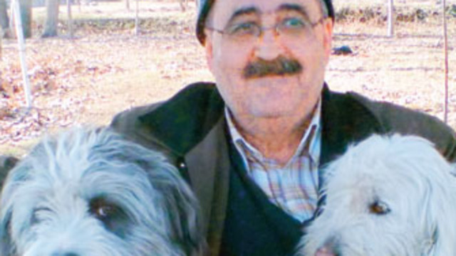 İki süs köpeği yüzünden işinden oldu