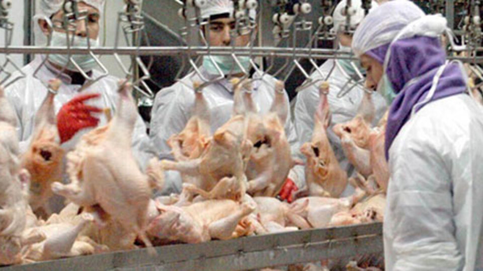 Çalışana tavuğu yasakladı!