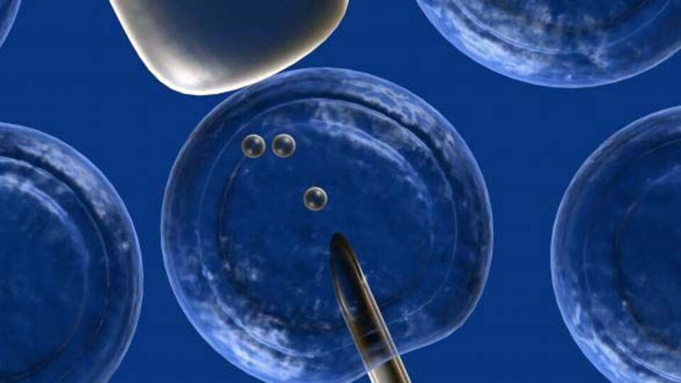 Kredi borcu için spermlerini sattı!