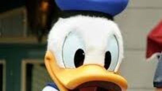 Disneyland'a ırkçılık davası