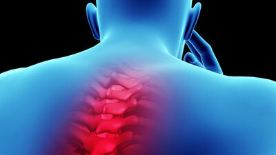 Kök hücre mucizesi!