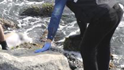 Kayalıklar üzerinde ceset!