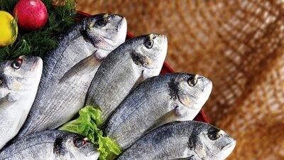 Kirlilikten korkana kültür balığı