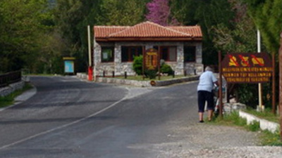 "Orayı kazın, en az 50 ceset çıkar!"