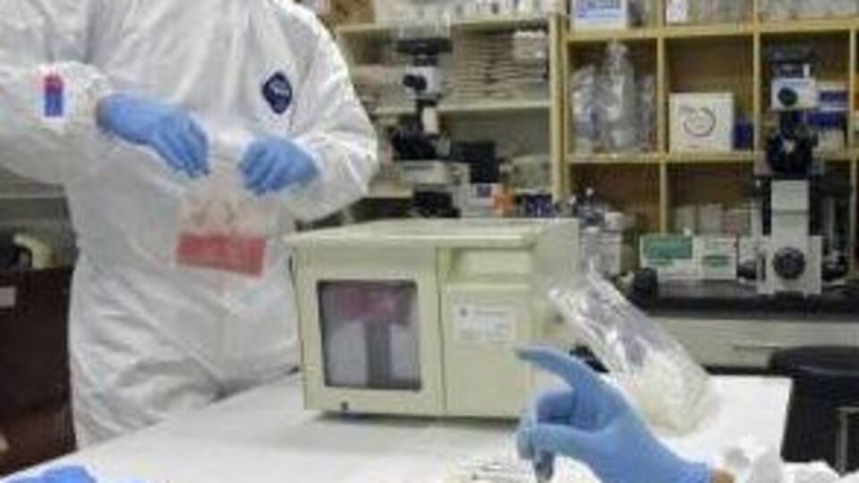 'Gribi kesinlikle basite almayın'