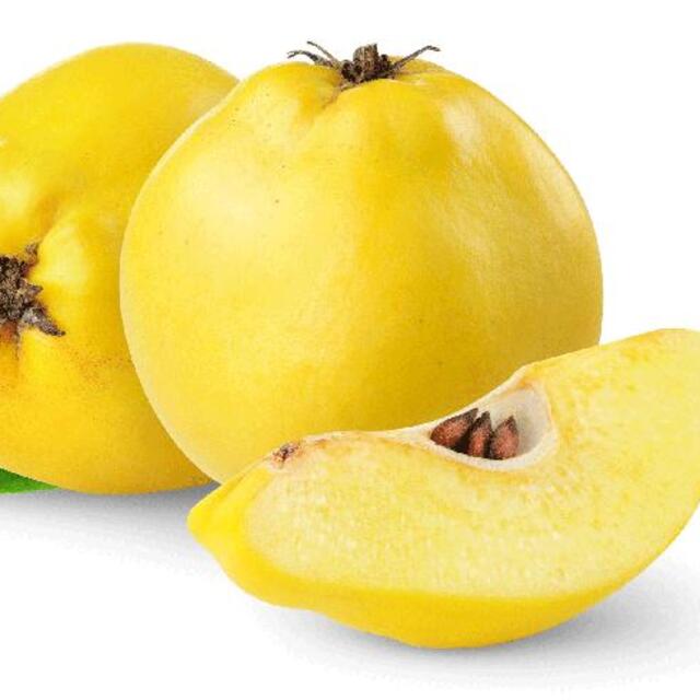 Kış hastalıklarına ayva suyu