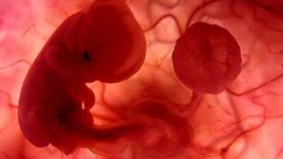 -196 dereceden gelen bebekler