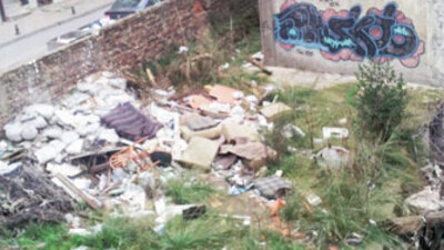 Kadıköy'ün baş belası!