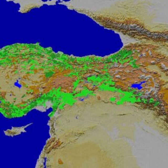 Kuş bakışı tasarruf!