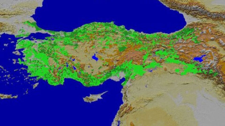 Kuş bakışı tasarruf!