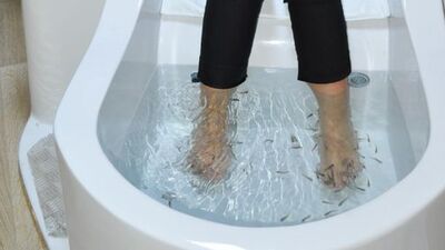 Güzellik merkezlerinin yeni gözdeleri!