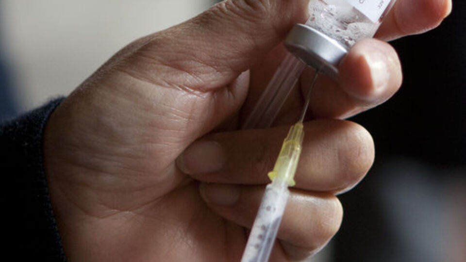 Su çiçeği aşısı aşı takviminde!