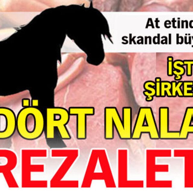 Dört nala rezalet!