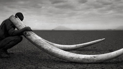 Vahşice katlettiler!