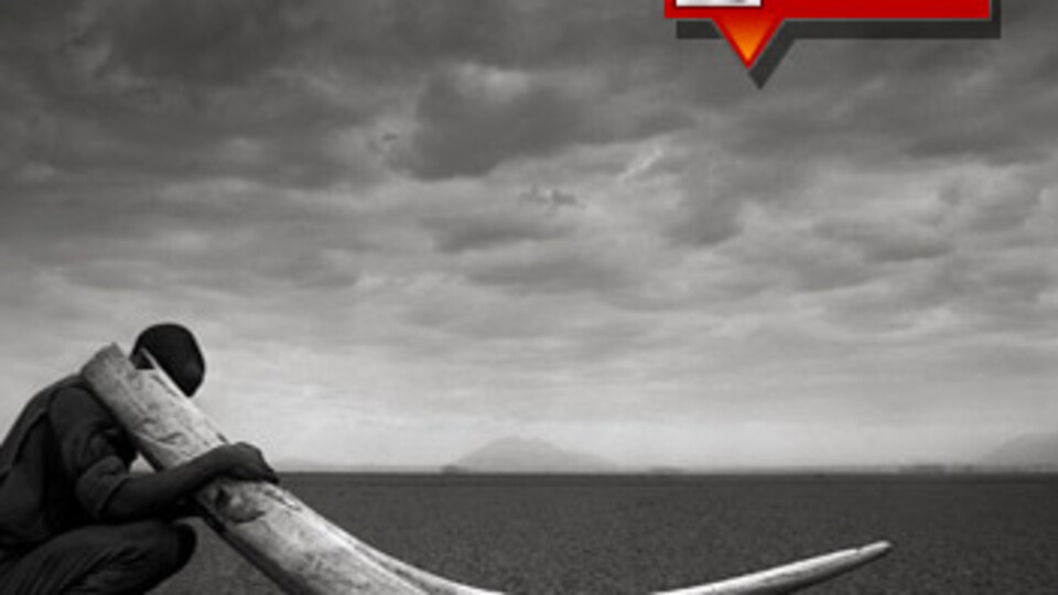 Vahşice katlettiler!