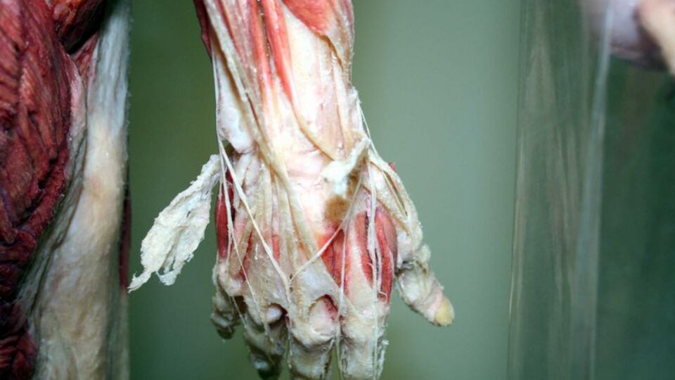 17 yıldır beklenen haber sonunda geldi