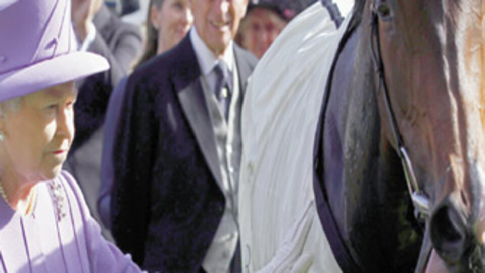 Kraliçe'ye at eti yedirdiler!