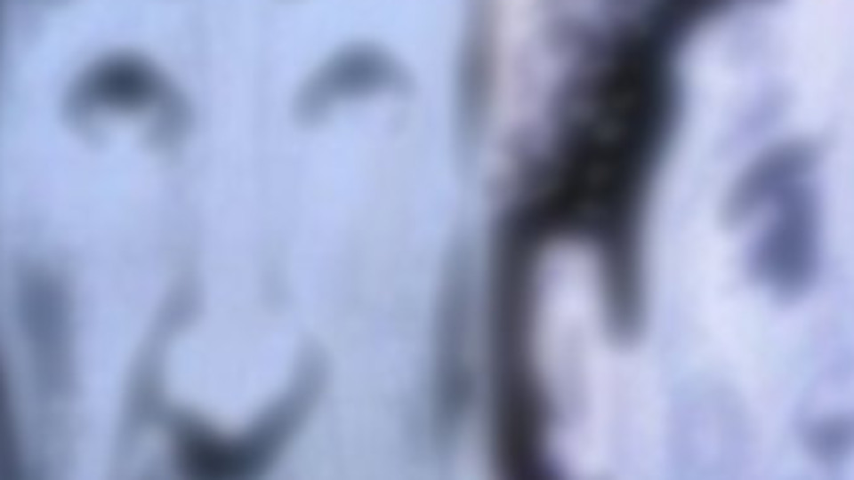 İstanbul'un kâbusu yakalandı!