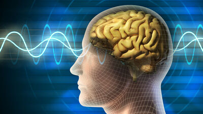 Zayıflık hastalığının çaresi beyinde!