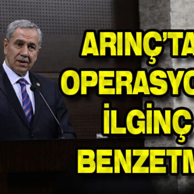 Arınç'tan operasyona ilginç benzetme