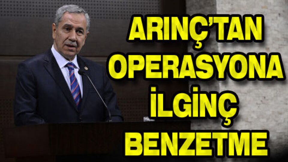 Arınç'tan operasyona ilginç benzetme