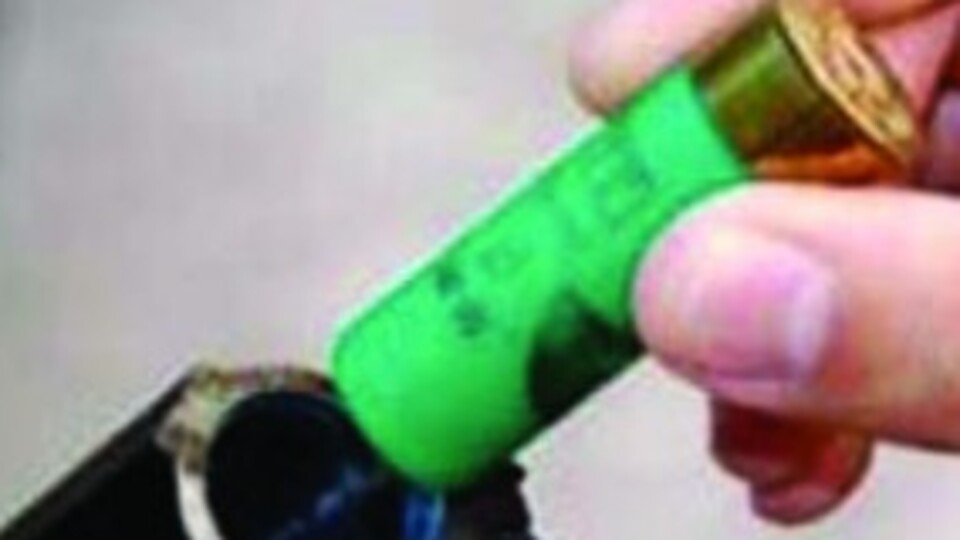 8 aylık hamile eşini öldürdü