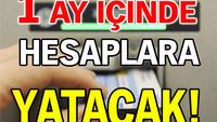 1 ay içinde hesaplara yatacak!