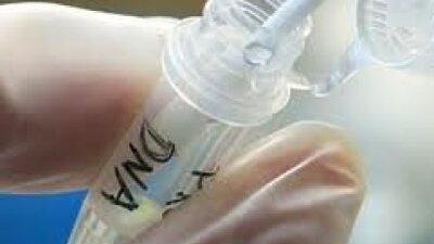 İşadamına DNA şoku